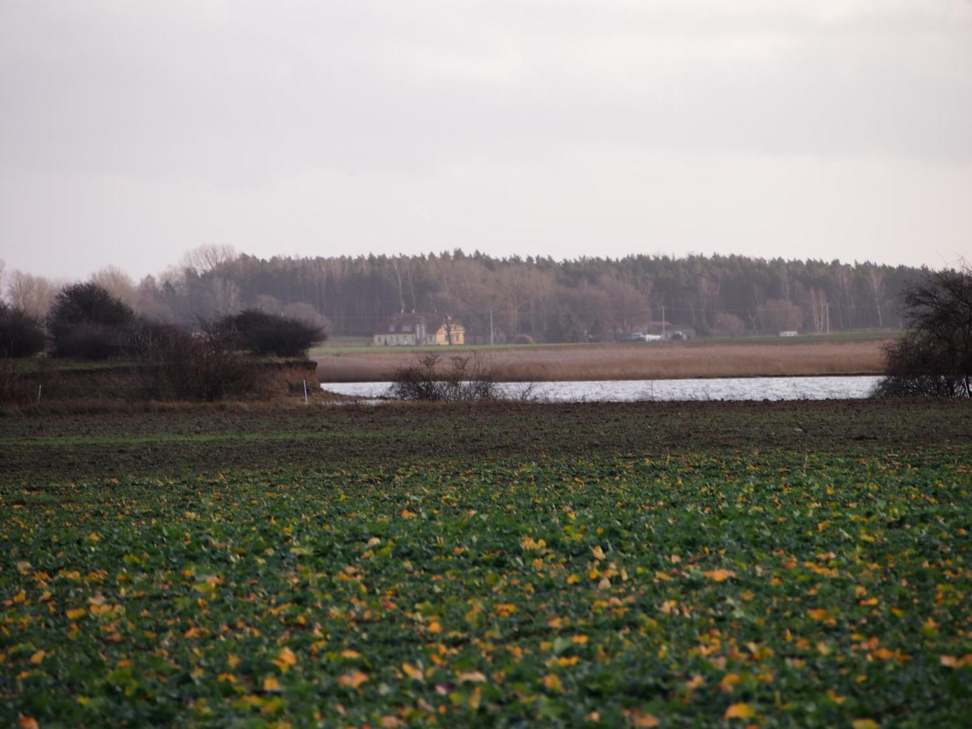 Ferienhaus Gut Rattelvitz Insel Ruegen Gingst Екстериор снимка